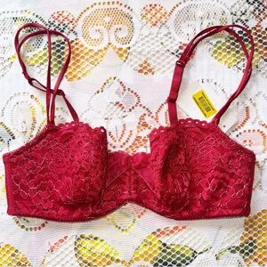Elegant Lace Red Bra